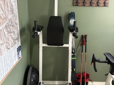 Pull Up and Dip Station