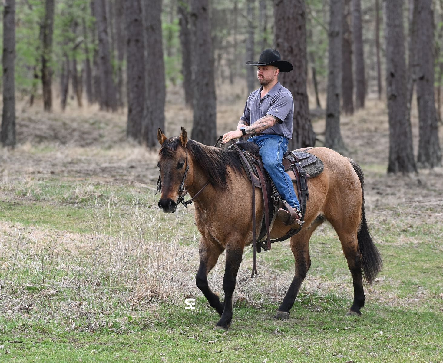 𝗗𝘂𝗻 𝗥𝗢𝗔𝗡 𝗚𝗲𝗹𝗱𝗶𝗻𝗴 𝗳𝗼𝗿 𝗔𝗕𝗦𝗢𝗟𝗨𝗧𝗘𝗟𝗬 𝗔𝗡𝗬𝗢𝗡𝗘