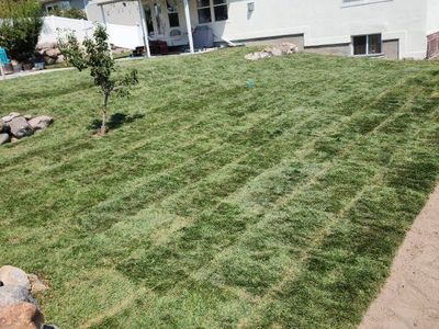 Sod Delivered and Installed, Topsoil, Mulch, and Rock Delivered