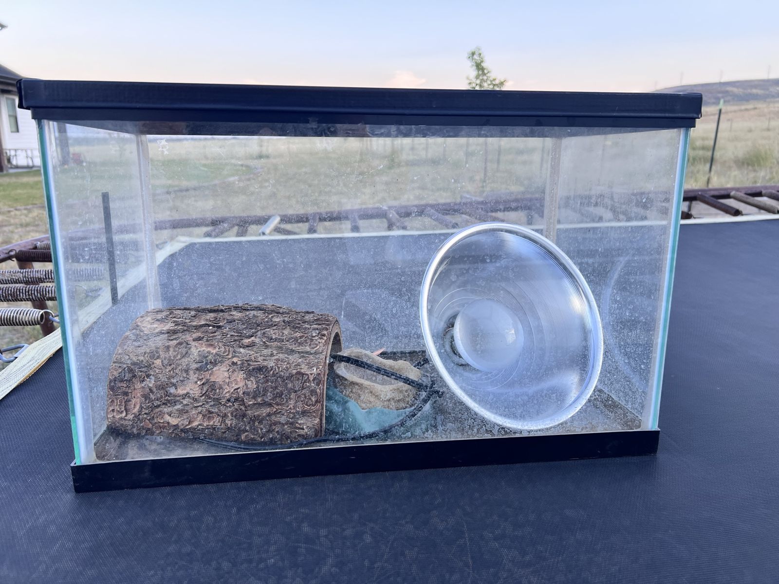 Used Reptile Tank Terrarium Habitat with Heat Lamp and Log Hide