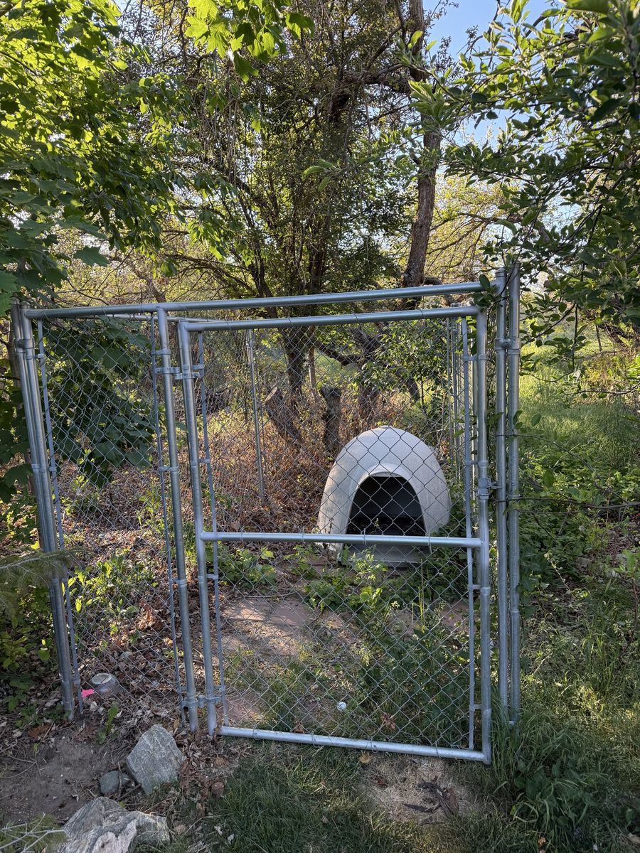 Dog Kennel and Igloo