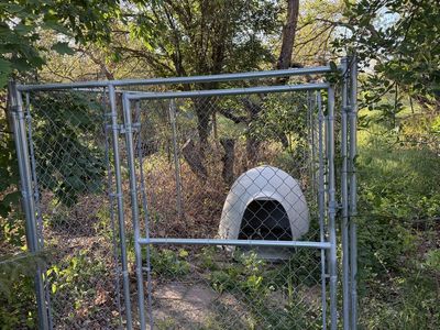 Dog Kennel and Igloo