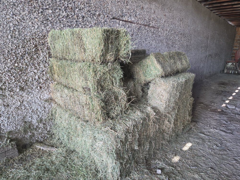 24 Small Square Alfalfa Hay Bales 50-60lbs
