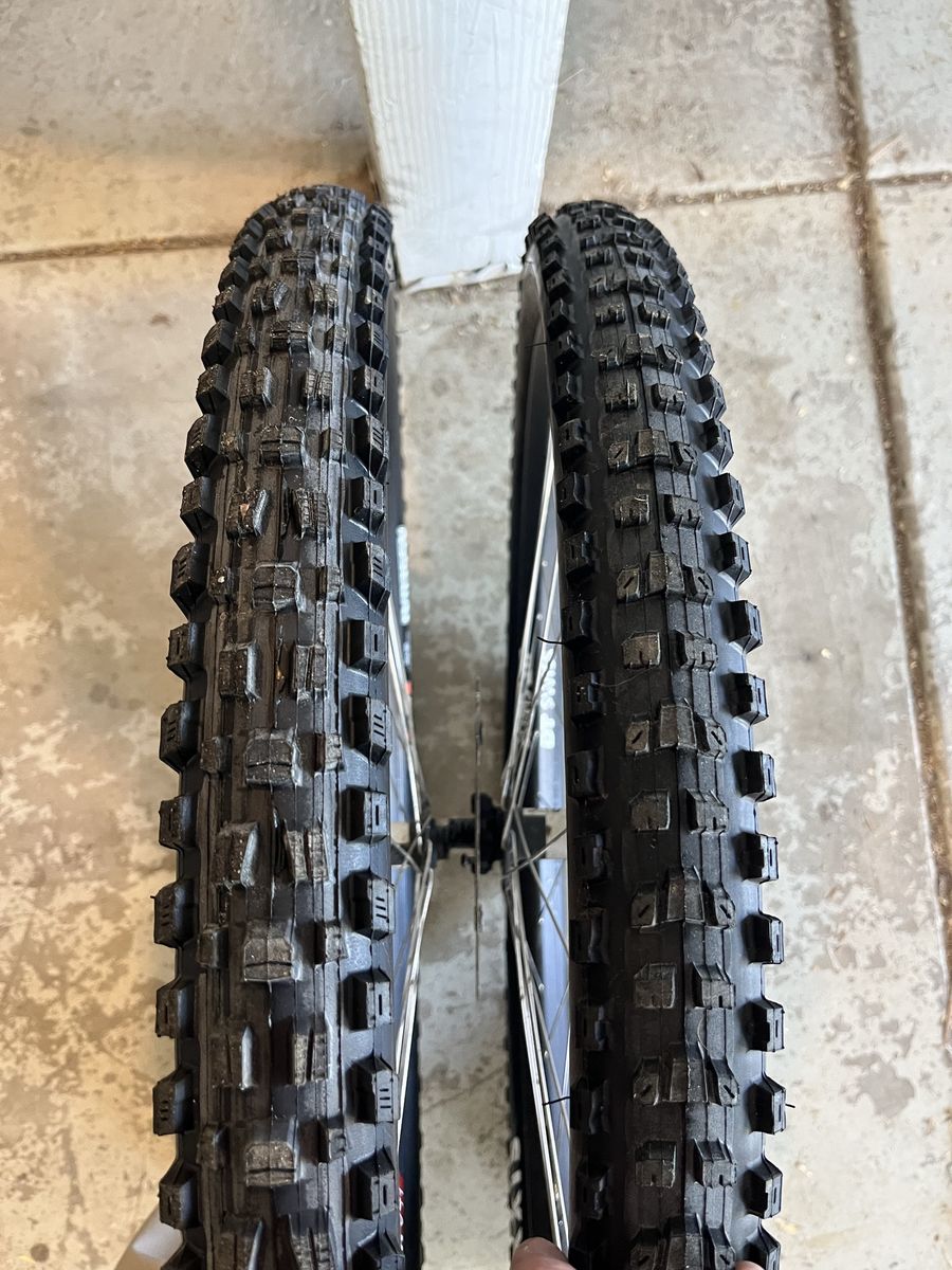 Maxxis Assegai / Dissector 29 tires NEW