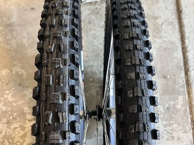 Maxxis Assegai / Dissector 29 tires NEW