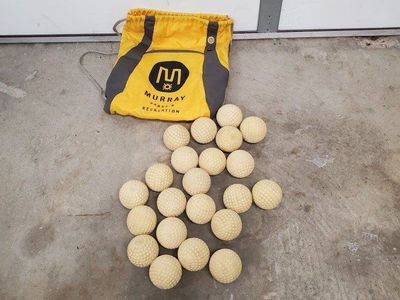 22 Foam Practice Baseballs