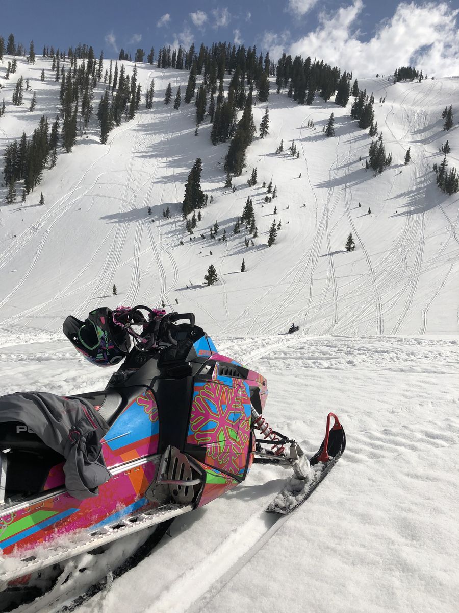 2015 Pro RMK 800 163 and Trailer