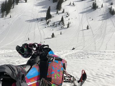 2015 Pro RMK 800 163 and Trailer