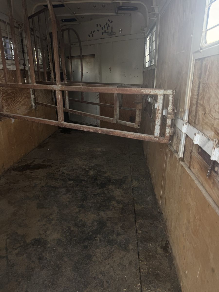 Main image 7