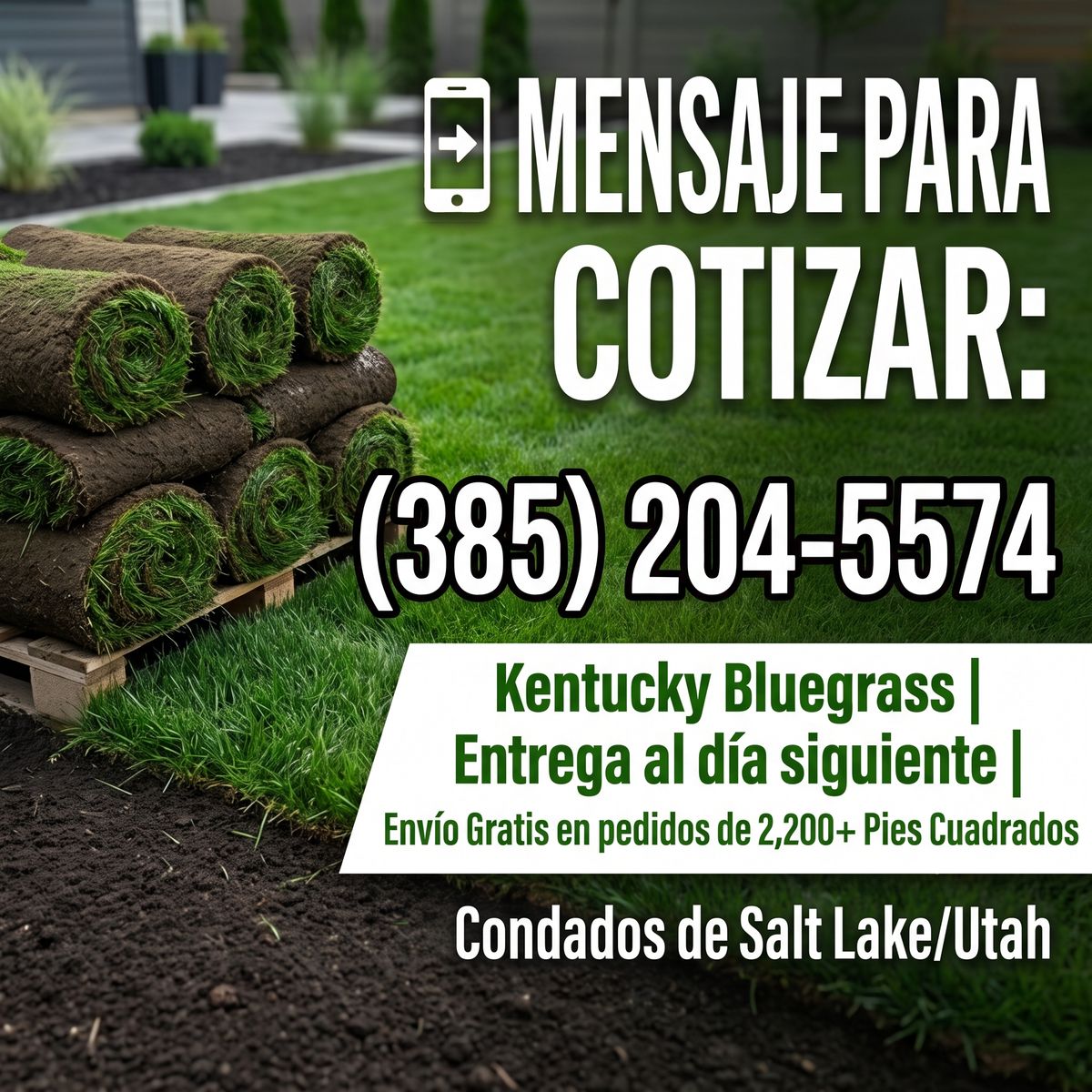 Paletas de Pasto Kentucky Bluegrass Premium — Recién Cortado y Entregado a Tu Puerta
