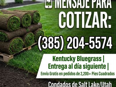Paletas de Pasto Kentucky Bluegrass Premium — Recién Cortado y Entregado a Tu Puerta