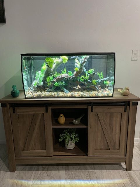 40 gallon bow tank
