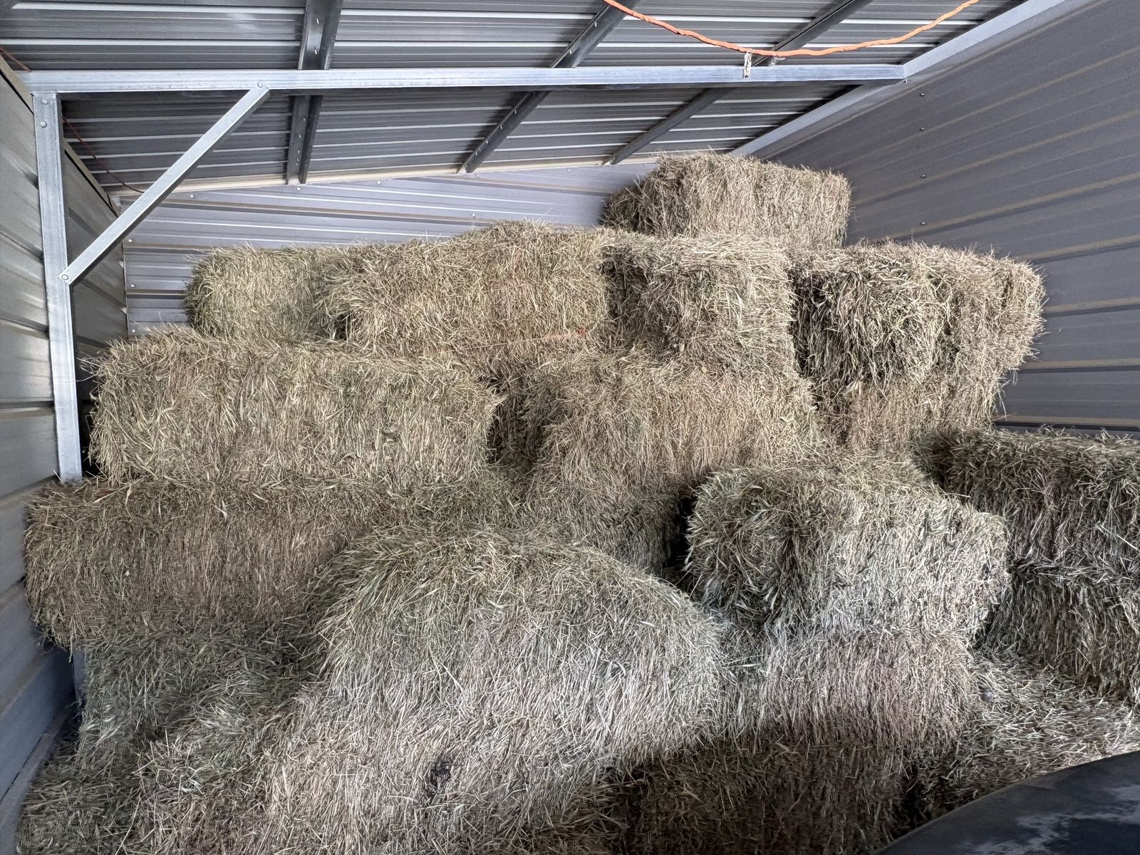 Goat Hay