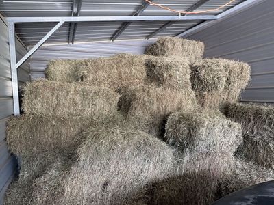 Goat Hay