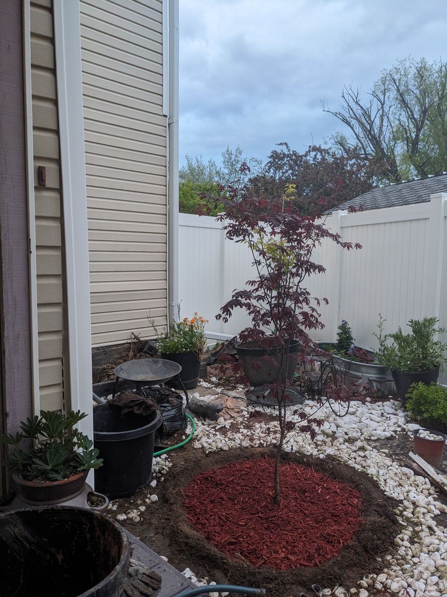 Zero scaping white rocks