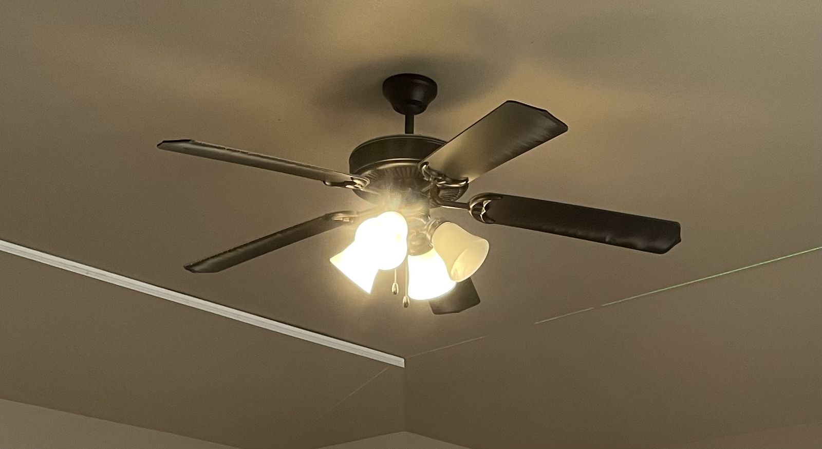 Ceiling fan