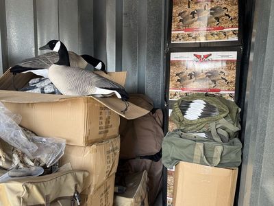 Goose Decoys