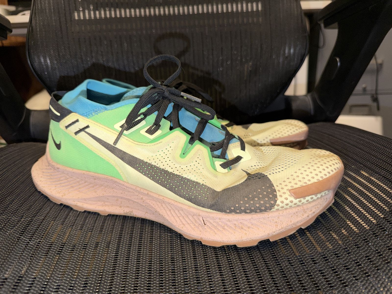 Nike Trail Pegasus - Men’s 12