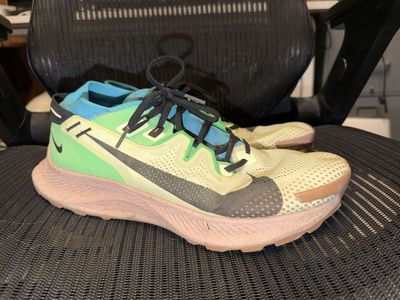 Nike Trail Pegasus - Men’s 12
