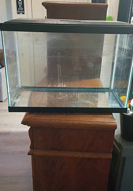 fish tank and supplies