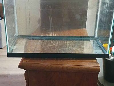 fish tank and supplies