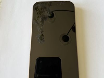 iPhone 16 Pro Max 512GB