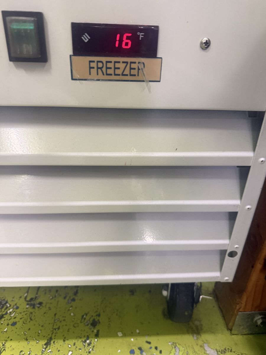 2 Door Freezer