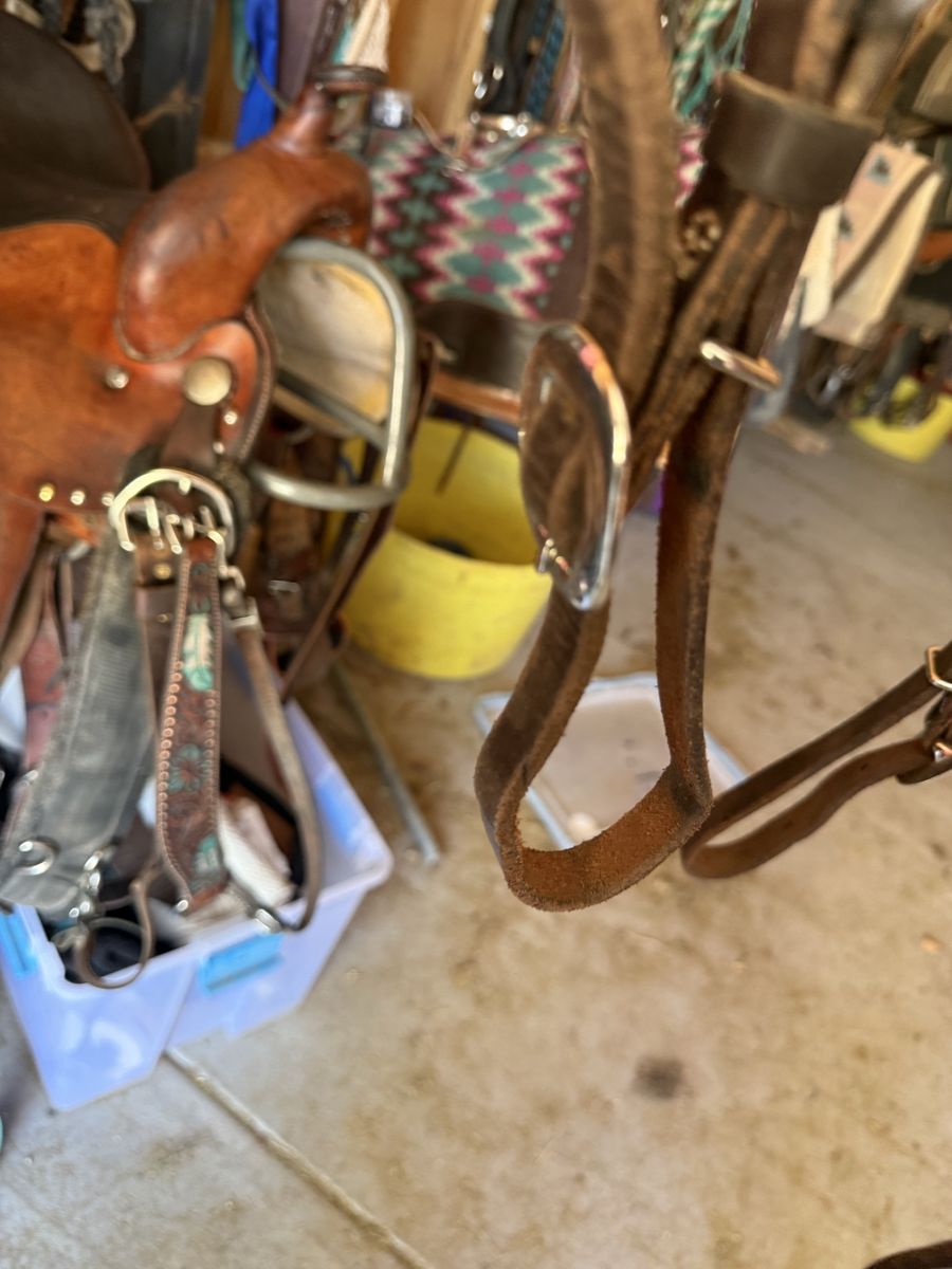 Pony Halter And Breastcollar!!