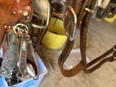 Pony Halter And Breastcollar!!