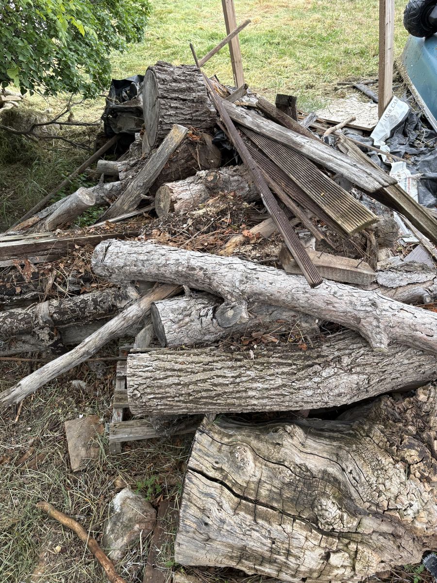 Free Locally grown fire wood aged three years
