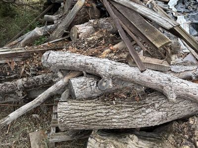 Free Locally grown fire wood aged three years