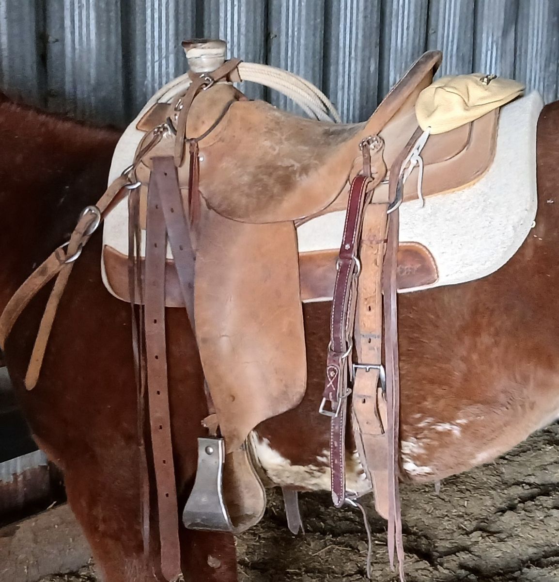 15 inch custom saddle