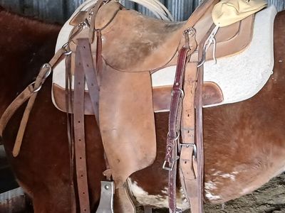 15 inch custom saddle