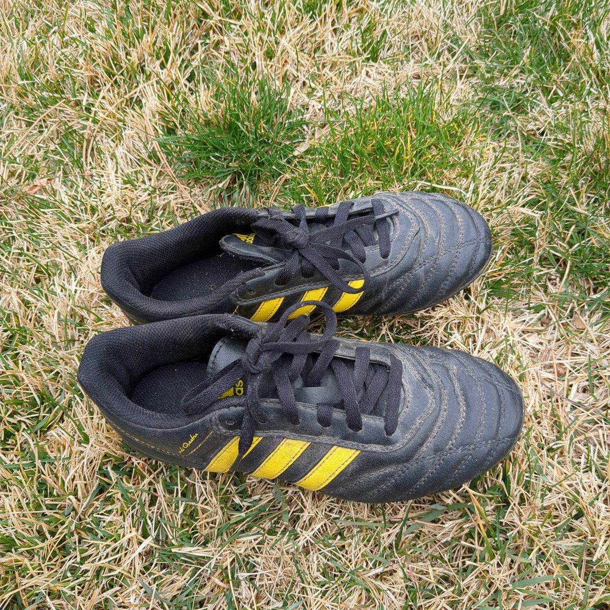 Adidas Cleats