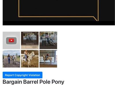Former Kansas State quarterback High School Rodeo Champion Pole Horse