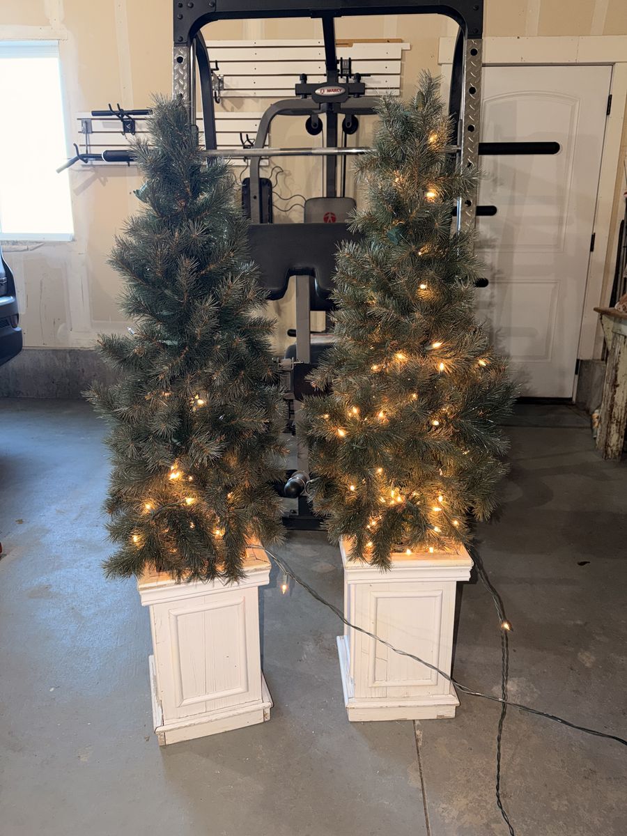 Small Christmas Trees Set of 2