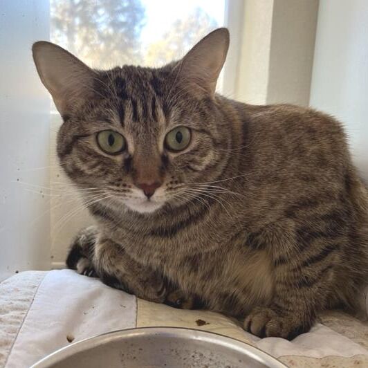 Hello my name is Merlot