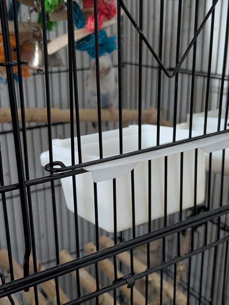 Main image 4