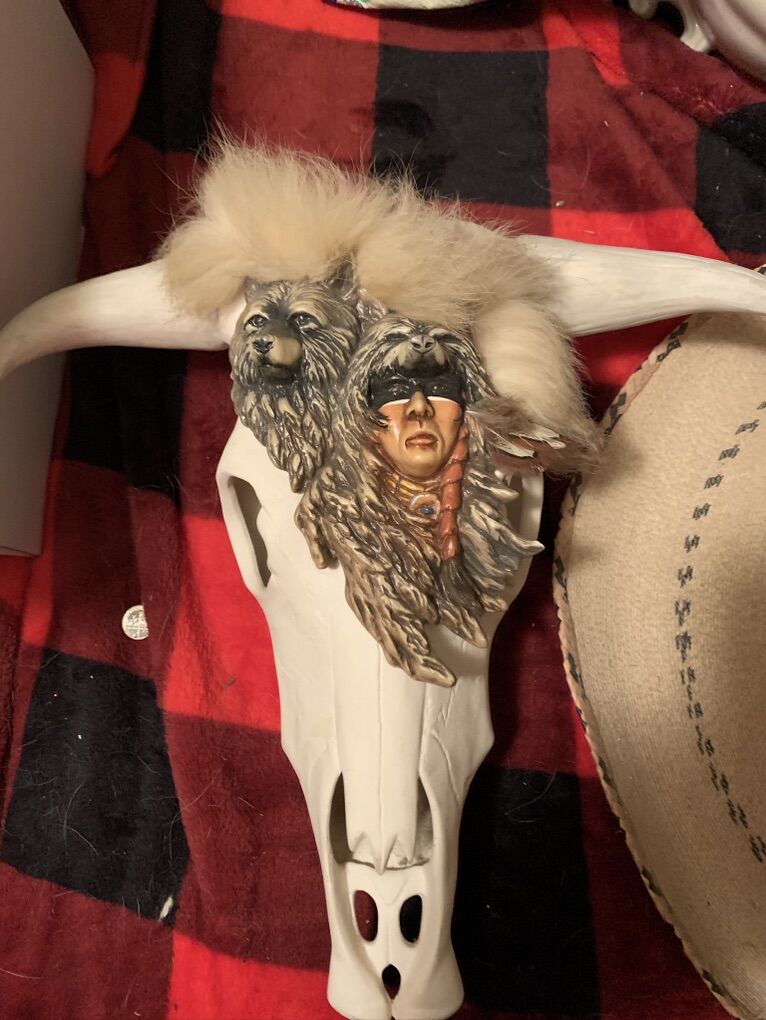 Wall Mounted Cow Skull