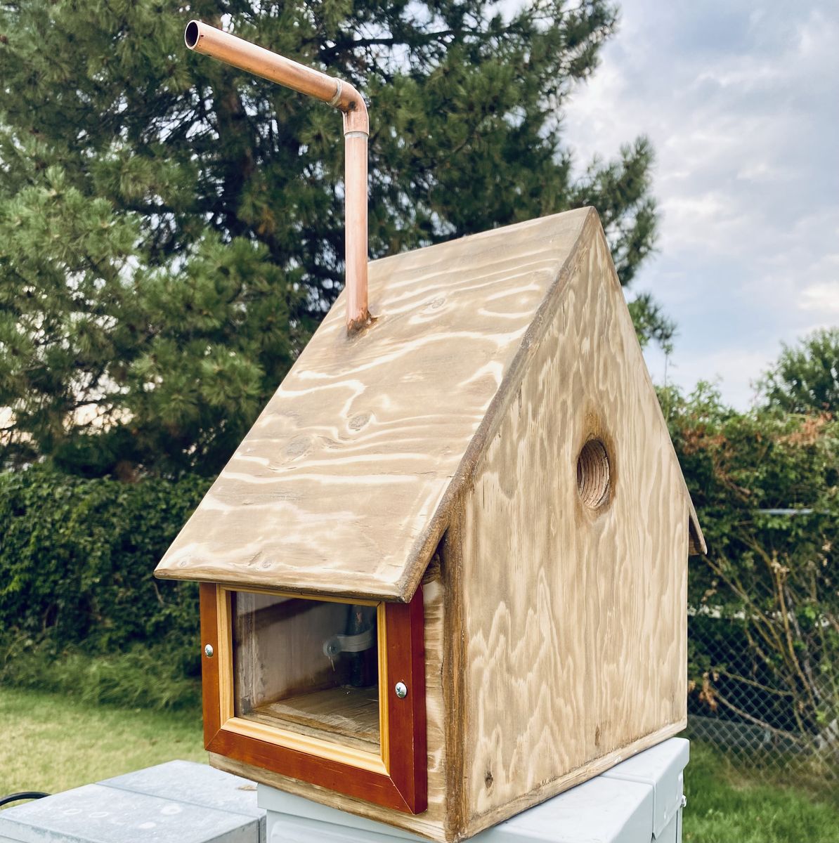 Custom bird house