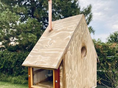 Custom bird house