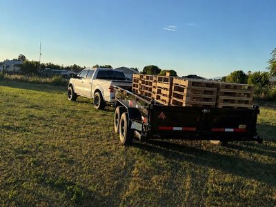 Wood and pallet disposal