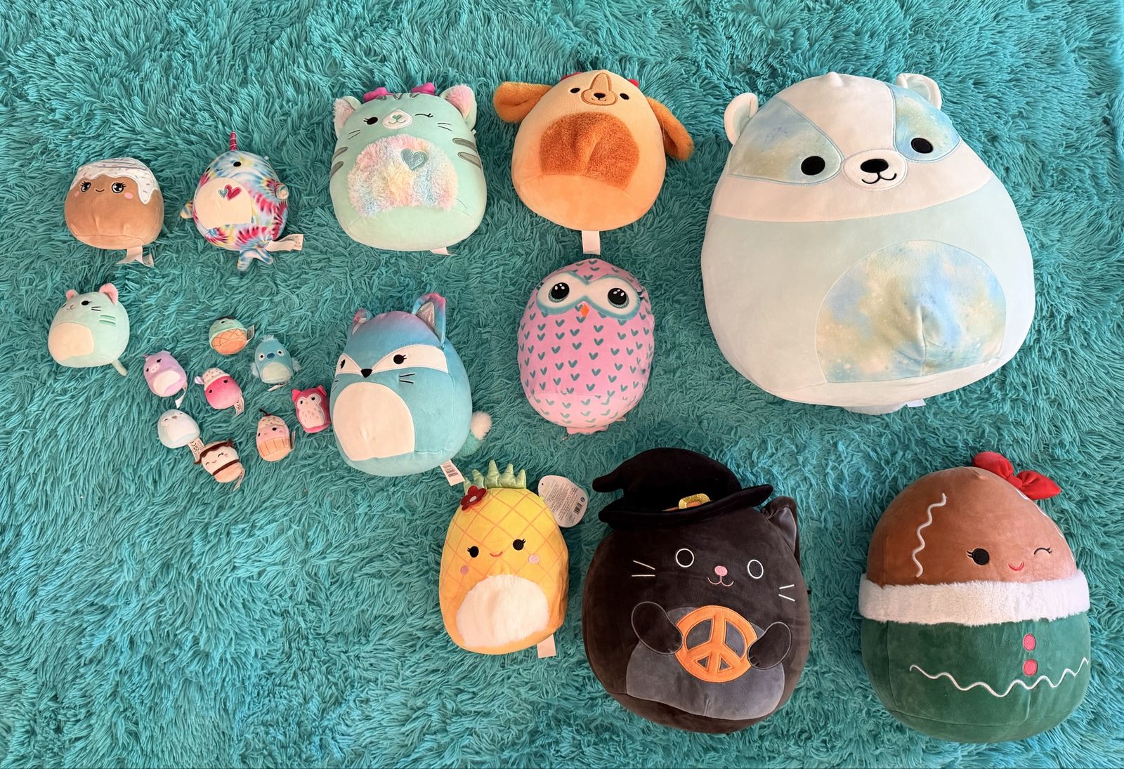 Squishmallows!