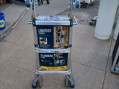 Werner multi-position ladder