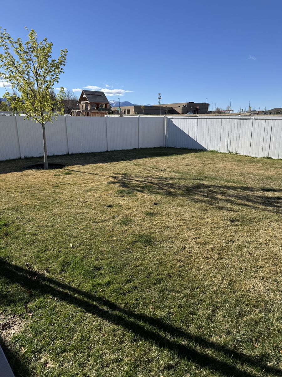 FREE, freshly cut sod 1,200 Sq Ft