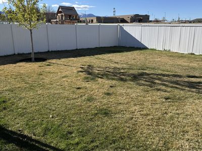 FREE, freshly cut sod 1,200 Sq Ft