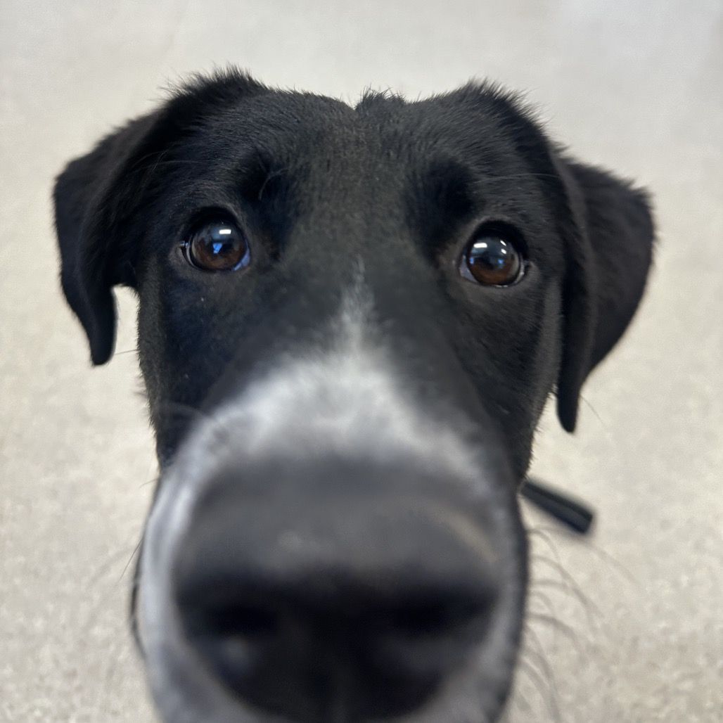 Hello my name is Lucky