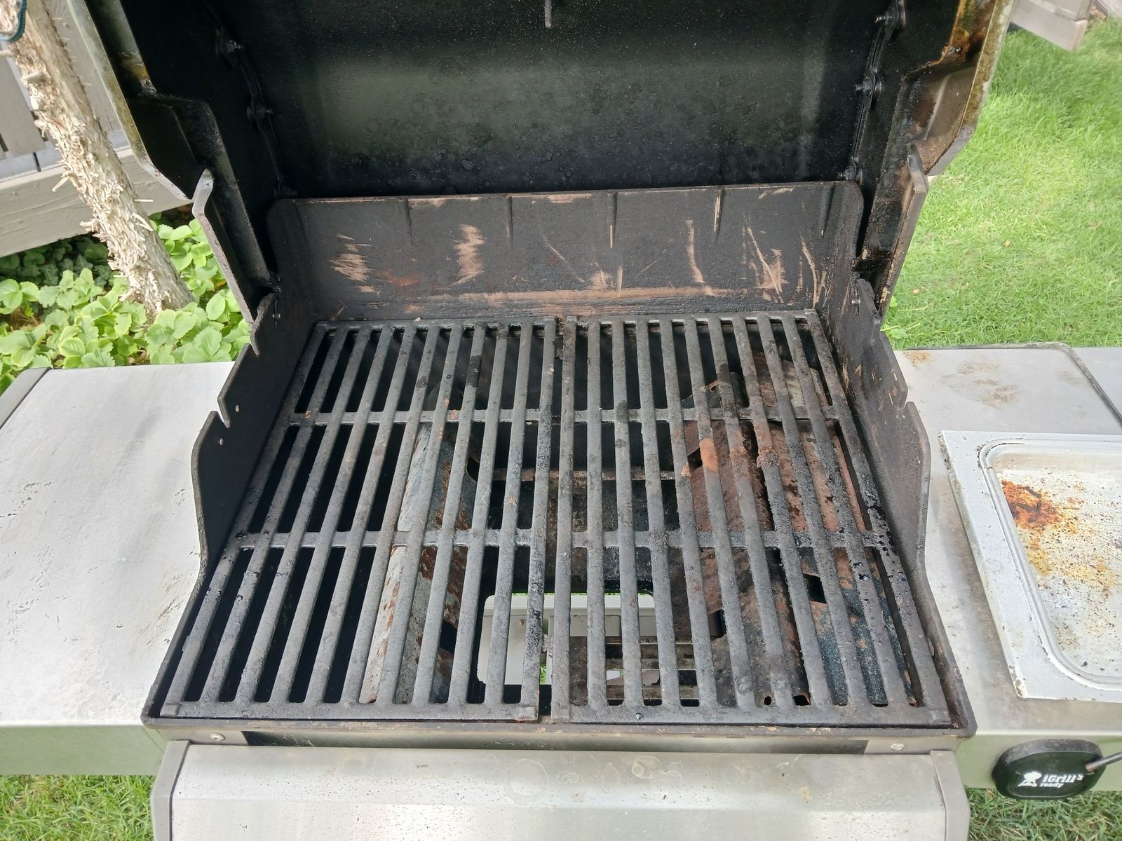 Main image 2