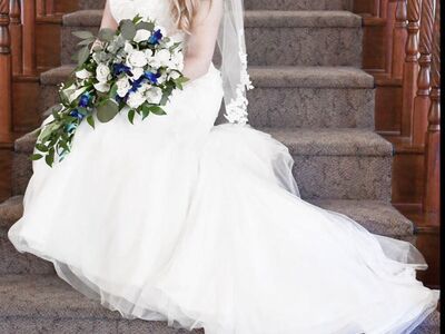 Wedding Dress -Davids Bridal (preserved/like new c