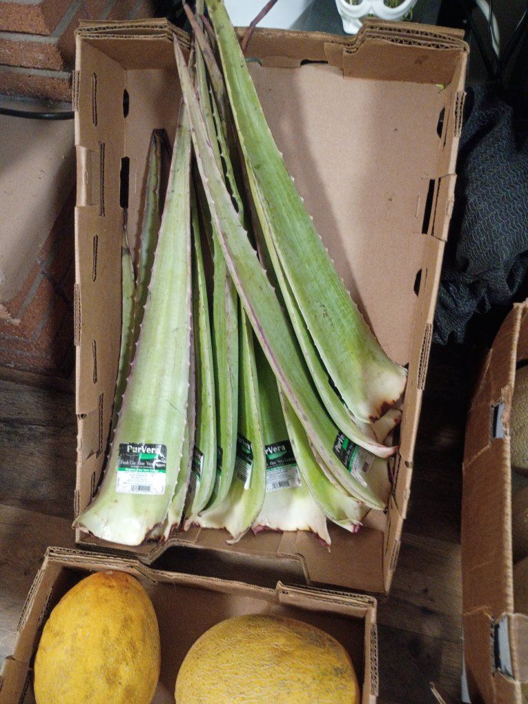 Main image 7